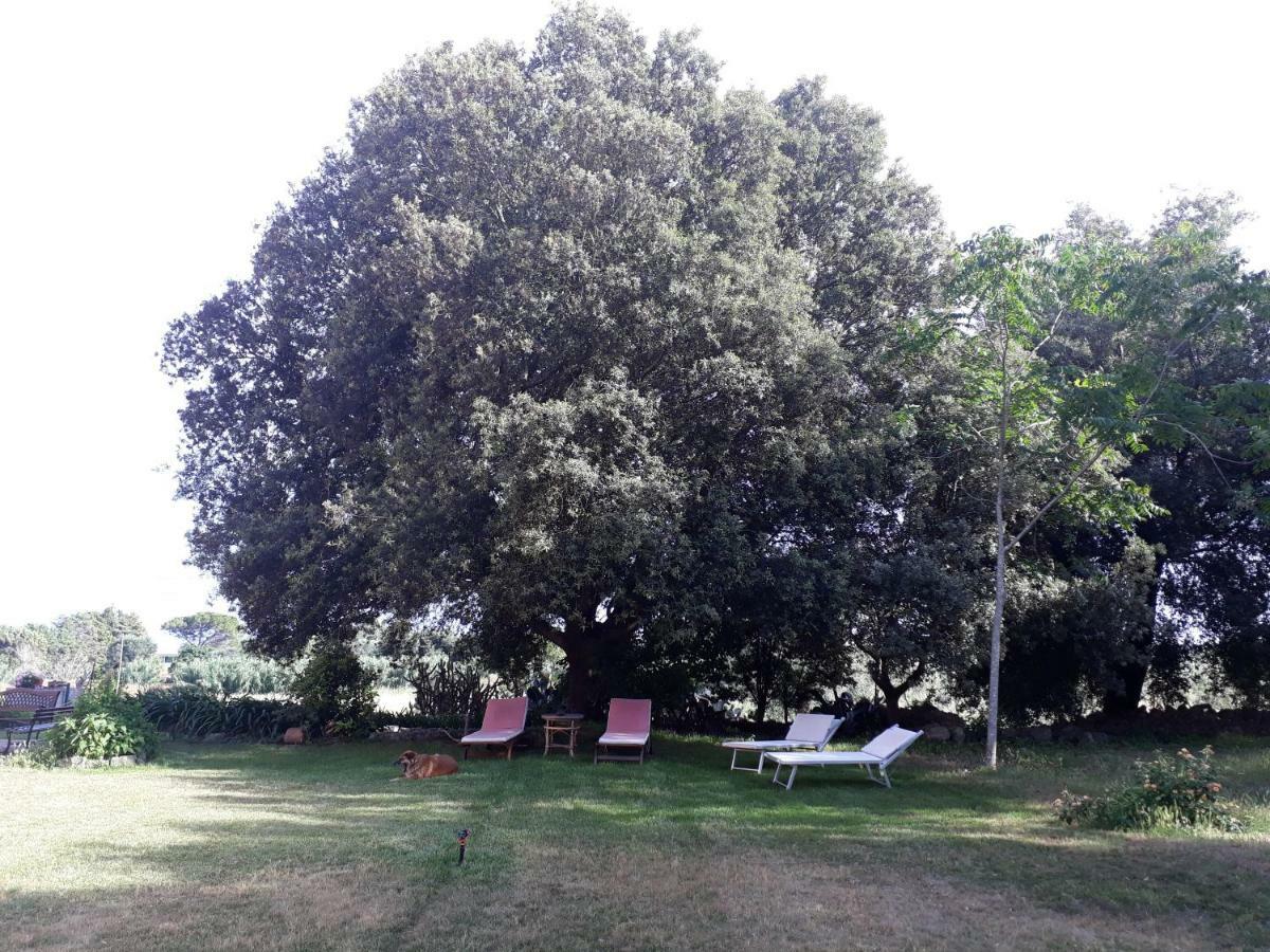 Tenuta Argiano Mesagne Luaran gambar