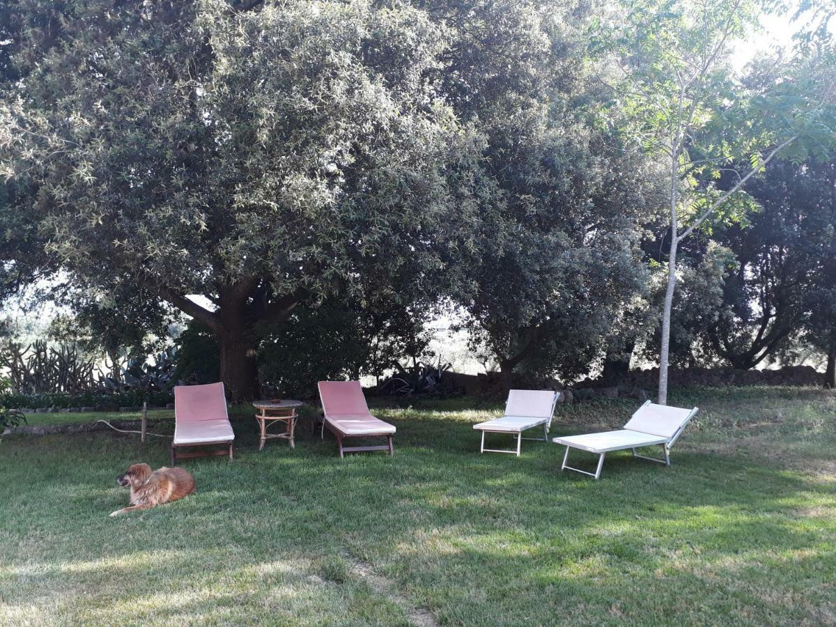 Tenuta Argiano Mesagne Luaran gambar
